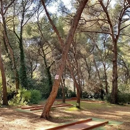 Cap Marine 21 Apartment *